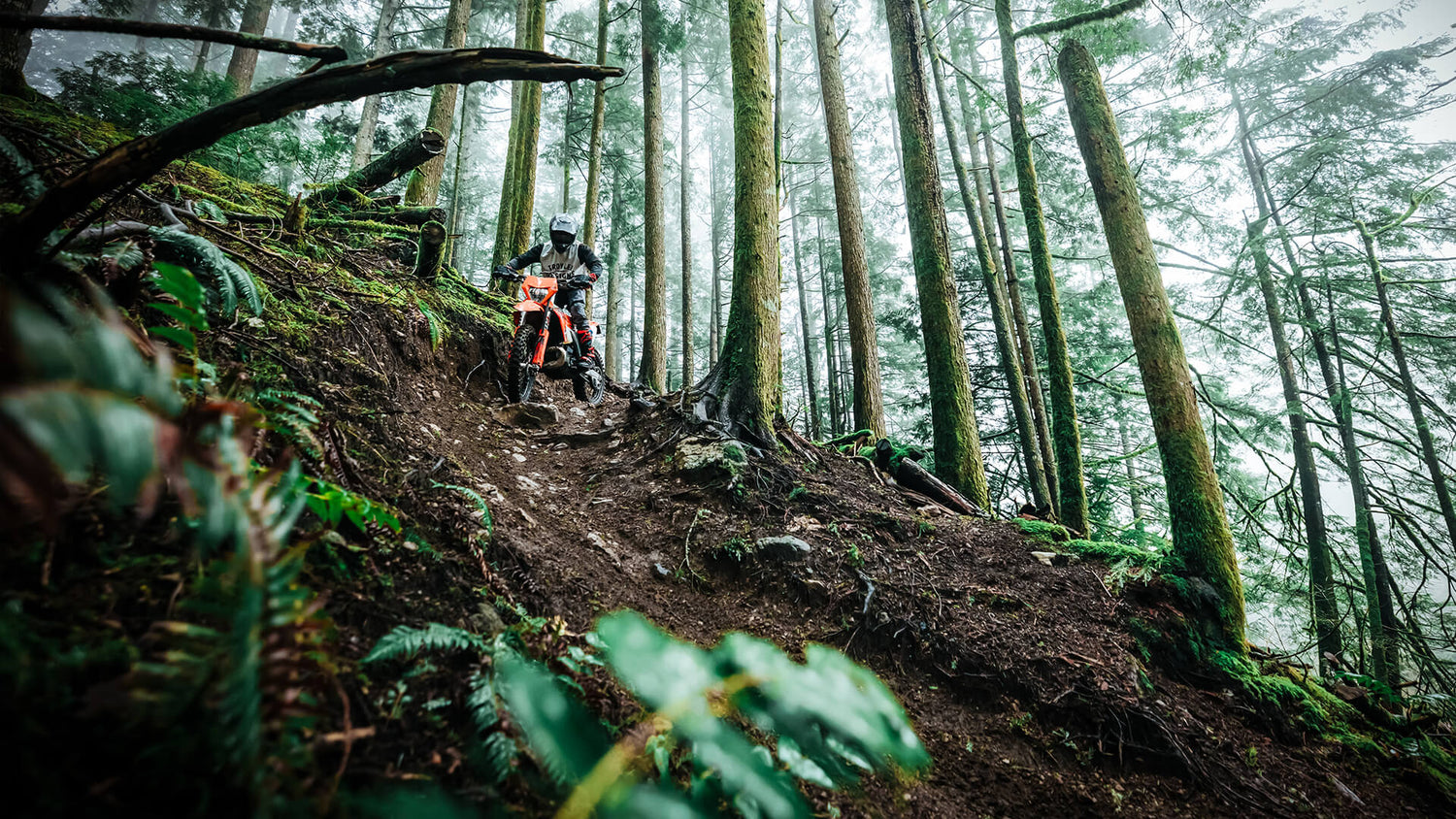 Moto Enduro Trail Rider going through a forest