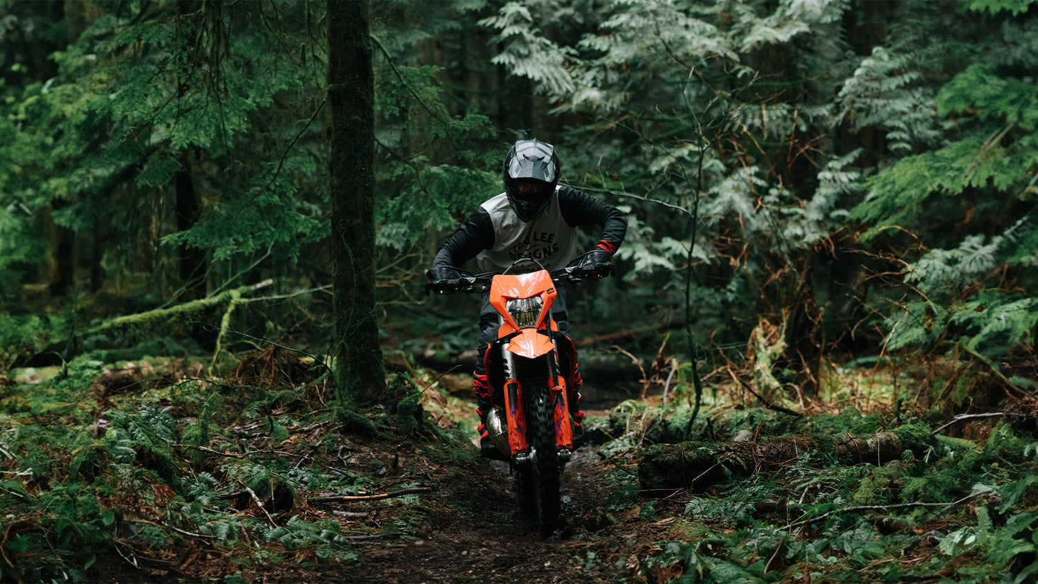 GP Rider going through the forest