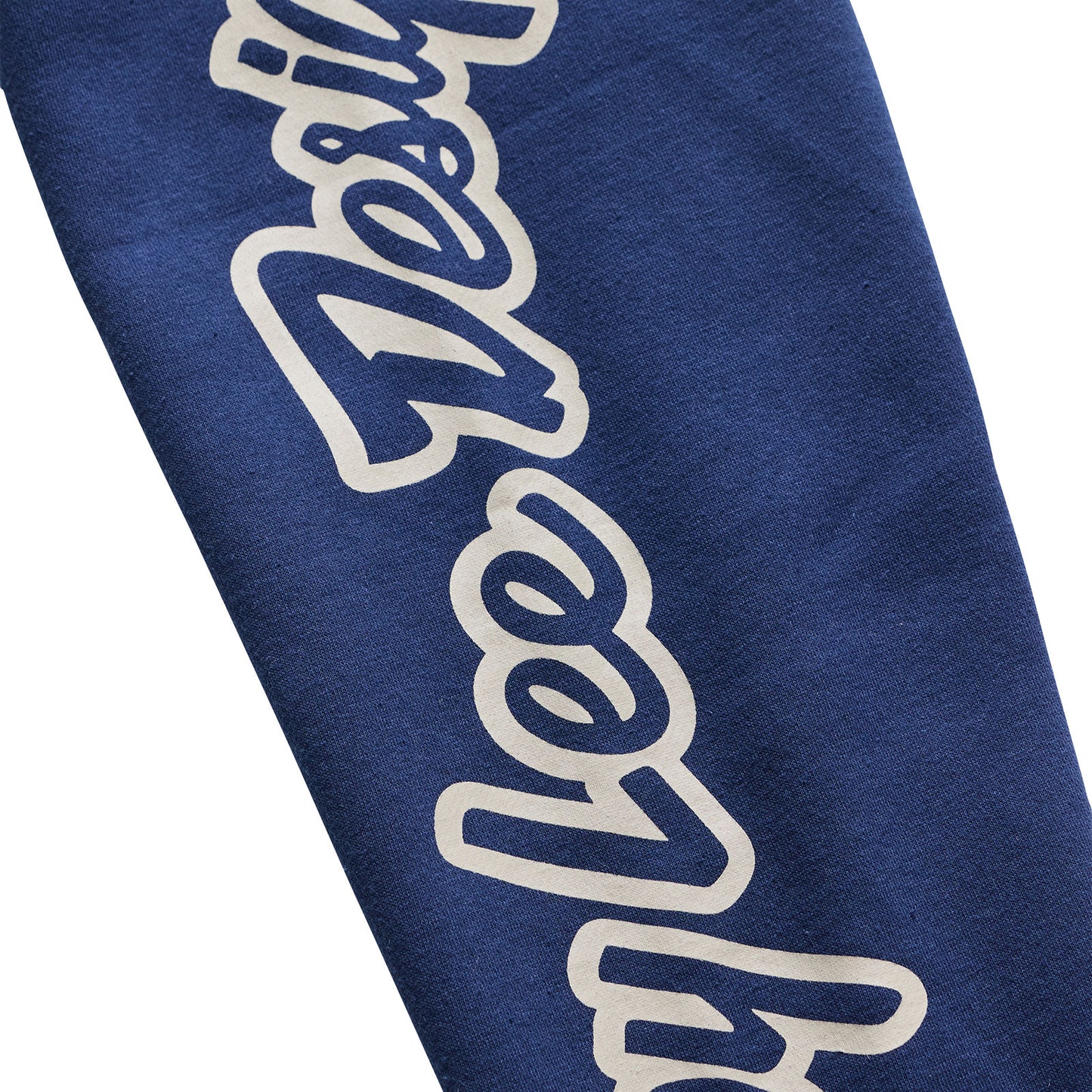 Zip up Hoodie Badge Navy / Sage