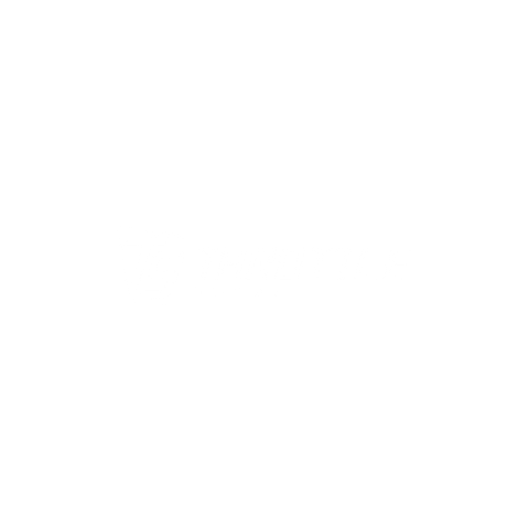 Throttle Syndicate logo - Image S 24