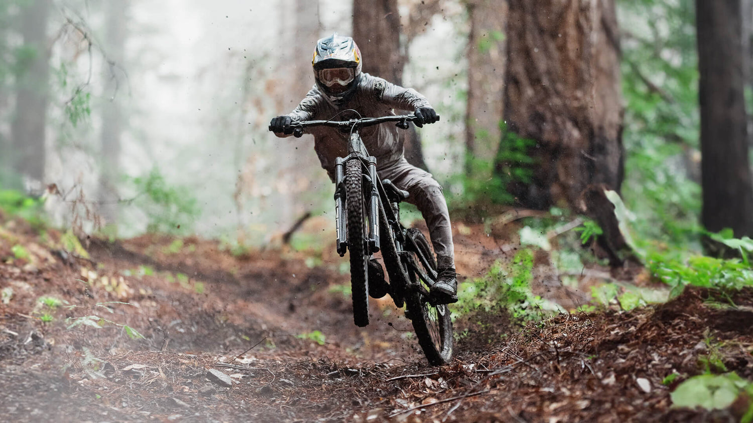 Mountain Bike rider in the forest.